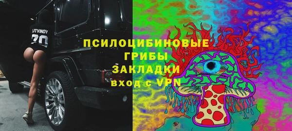 мяу мяу мука Алзамай