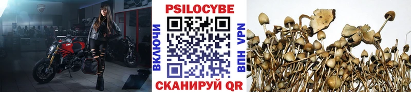 hydra маркетплейс  сайты даркнета официальный сайт  Галлюциногенные грибы Psilocybine cubensis  Ветлуга 