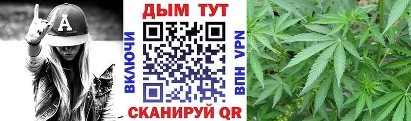 Бошки марихуана SATIVA & INDICA  Ветлуга 